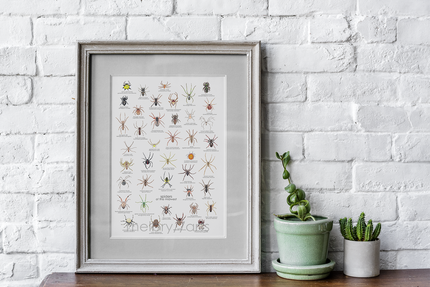 spiders of the midwest — melbry//arts